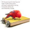 6 Pcs Bird Perch Stand Toy, Wood Parrot Stand Platform Colorful Sand Paw Grinding Stick Cage Accessories Exercise Toys for Cockatiel Conure Budgies Parakeet Lovebird Hamster Gerbil Rat Mouse (6 Pcs)