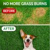Grass Burn Spot Chews for Dogs - Dog Urine Neutralizer for Lawn - 120 Grass Green Dog Chews - Grass Savers for Dog Urine - Dog Pee Grass Neutralizer with Probiotics - Digestive Enzymes - Made in USA