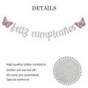 WeBenison Feliz Cumpleaños Banner/Fiesta Theme Happy Birthday Party Supplies/Spanish Birthday Party Decorations Butterfly Sign Silver Glitter