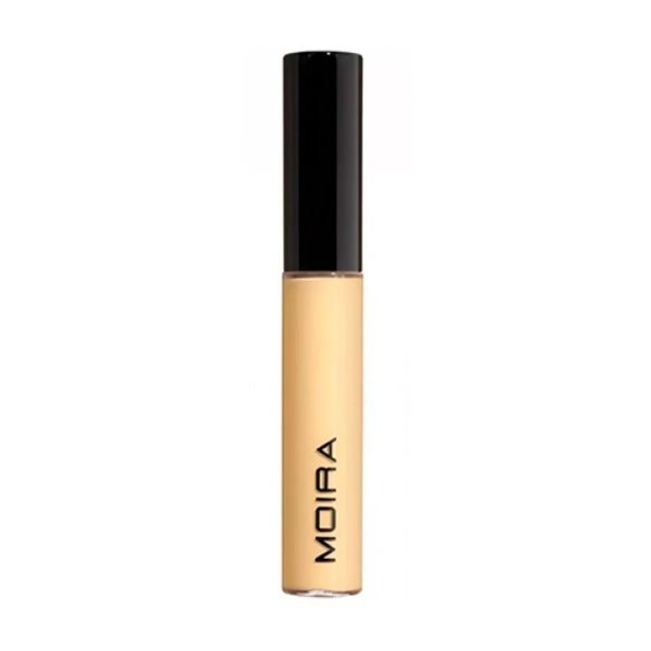Lavish Color Correcting Concealer (104, BANANA SMOOTHIE)
