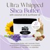 True Shea Moisturizing African Whipped Shea Butter, Lavender, Natural Skincare Must-Have, Made from Unrefined Raw Shea Butter & Enriched with Sunflower & Coconut oil for Skin, No Parabens, 8 oz