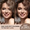 Mina ibrow Hair Color Refill Pack Dark Brown|Natural Professional Spot coloring Hair Tinting Powder, Water and Smudge Proof