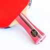 Palio Master 3.0 Table Tennis Racket & Case - ITTF Approved Intermediate Ping Pong Bat