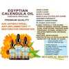 Botanical Beauty CALENDULA OIL Egyptian Calendula Officinalis Marigold Oil Pure Natural for FACE, SKIN, BODY, HAIR, NAILS 2 Fl.oz.- 60 ml Skin Moisturizer Oil