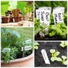 Mr. Pen- Garden Markers, Black, 4 Pack, Plant Markers, Garden Markers for Plants Outdoor Waterproof, Plant Markers for Seedlings, Waterproof Permanent Marker, Plant Markers for Outdoor Plants