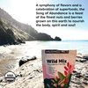 Wilderness Poets, Abundance Wild Mix - Organic Raw Superfood Blend (3.25 Ounce) Cashew, Pistachio, Goji Berry, Cacao, Golden Raisin, Golden Berry Trail Mix