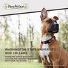 Moose Pet Wear Dog Collar – Washington State University Cougars Adjustable Pet Collars, 1"/Medium, Red/Gray Box Logo