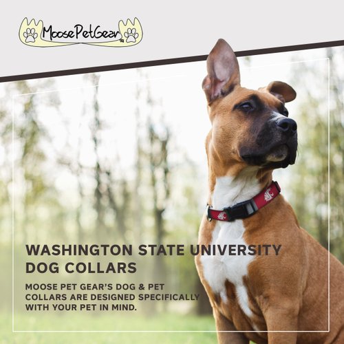Moose Pet Wear Dog Collar – Washington State University Cougars Adjustable Pet Collars, 1"/Medium, Red/Gray Box Logo