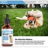 Vitamin D for Dogs | Supports Strong & Health Bones | Vitamin D Supplements for Dogs | Vitamin D Dog | Dog Vitamins and Supplements | Dog Vitamins Multivitamin | Vitamins for Dogs | 1 fl oz