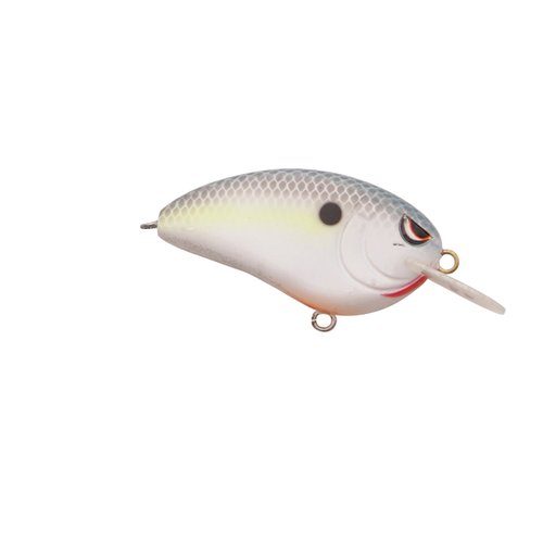 SPRO Fishing Little John Crank Bait-Pack of 1, Nasty Shad