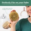Bare Botanics Exfoliating Dry Brushing Body Brush for Lymphatic Drainage | Palm Sized, Universal Fit, & an Elastic Strap | Medium Firmness Dry Brush for Body