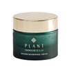 PLANT IMMORTELLE Golden Nourishing Face Cream - Rich Anti-Aging Cream For Radiant Skin - Moisturizes & Nourishes Skin
