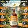 Liposomal Quercetin with Bromelain Liquid Drops, 8 in 1 Organic Quercetin 1000mg Supplements with Bromelain 500mg, Vitamin C, D3, Zinc, Elderberry, Turmeric for Immunity & Respiratory Health, 2 Fl Oz