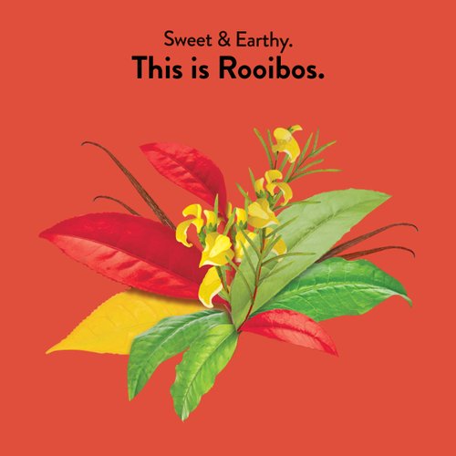 Choice Organics - Organic Rooibos Tea (6 Pack) - Fair Trade - Compostable - Caffeine Free - 96 Organic Herbal Tea Bags