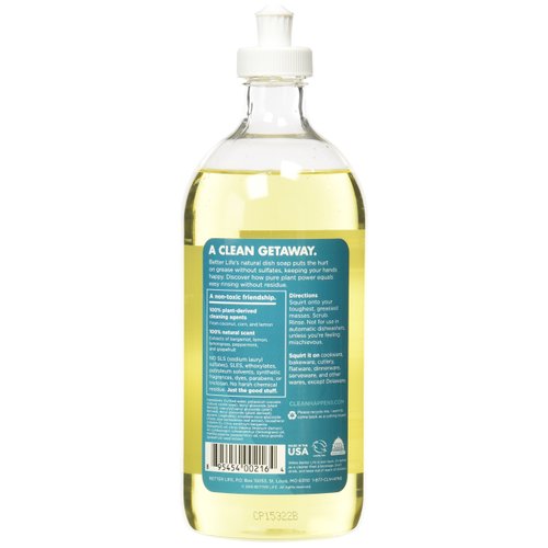 Better Life Dish Soap - Liquid Dishwashing Soap with Vitamin E and Aloe for Home & Kitchen Sink - No Gloves Required Kitchen Soap for Sensitive Skin - 22oz Lemon Mint