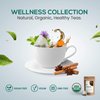 Herbaly Wellness Collection Tea - 8 Active Herbs - Improve General Health, Strengthen Immunity - Natural, Organic, Non-GMO, Vegan, Sugar Free - 3 Pack, 84 Pyramid Tea Bags