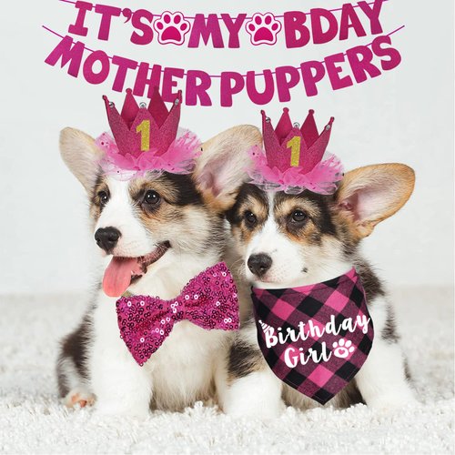 JOTFA Dog Birthday Decorations, Multi Sizes Dog Birthday Bandana Girl Dog Birthday Hat Crown Bow Tie Birthday Numbers It’s My Bday Mother Puppers Sign Banner for Small Dogs Pets (Pink, Small)