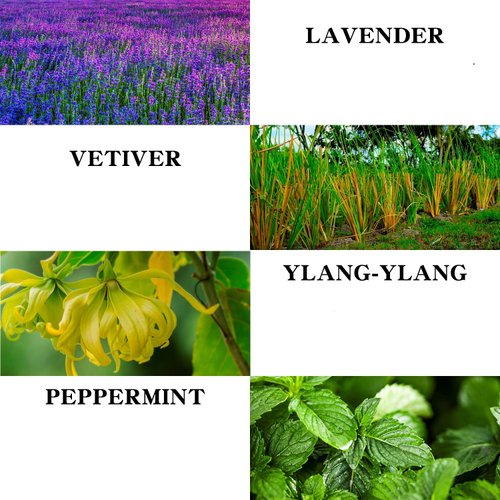 Massage Oil with Lavender and Peppermint Massage Oil for Skin Moisturizing Body Oil Lavender Massage Oil for Men and Women 10.2 fl.oz