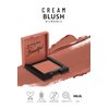 Pastel Cream Blush 42 | Pink | Fresh | Healthy & Natural Look | Ligh Weighted Formula | Sebum Control Richly Pigmented | Easily Blendable | Long Lasting | Semi Matte | 0.18 oz.