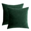 RainRoad Velvet Decorative Throw Pillow Covers Cushion Cover Pillow Case for Sofa Couch Bed Chair,Soft Square Dark Green Throw Pillows 18x18 Inch,Set of 2