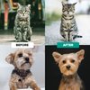 Ruff 'N Ruffus Dog Brush for Shedding - Double Sided Undercoat Rake for Dogs & Cats - Dematting Comb for Dogs - Deshedding Dog Brush with Nail Clipper - Cat Grooming Brush Reduce Shedding by 95%