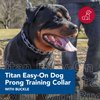 Coastal Pet Titan Easy-On Dog Prong Training Collar with Buckle - Training Collar for Dogs - Durable Metal Dog Collar - Training Collar with Side Release Buckle - Black, 3 mm x 18"