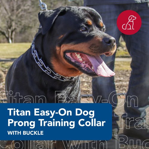 Coastal Pet Titan Easy-On Dog Prong Training Collar with Buckle - Training Collar for Dogs - Durable Metal Dog Collar - Training Collar with Side Release Buckle - Black, 3 mm x 18"