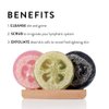 Honey Belle Natural Loofah Soap Bar 3-Pack | Exfoliating Soap with Loofah Inside | Eco-Friendly, Natural Soap with Loofah Built in | Rose, Charcoal Bamboo & Green Tea Cucumber
