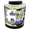 Tetra LED Half Moon aquarium Kit 1.1 Gallons, Ideal For Bettas, Black, 9"W,10.5"H,4.5"D Inches (29049)