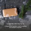 The Grandpa Soap Company Pine Tar Bar Soap for Men- Made With 100% Plant-Based Pine Tar Oil, 3 in 1 Cleanser Deodorizer and Moisturizer, Dermatologist Tested, Safe for Sensitive Skin, 3.25 Oz, 2 Pack