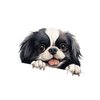 Japanese Chin Wall Decals Pet Dogs Wall Sticker Vinyl Mural Decals Reusable Home Decals for Classroom Bike Backdrop Wall Art Holiday Decorations 22in