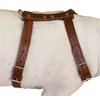 Genuine Tooled Leather Dog Harness Medium. 22"-30" Chest, 3/4" Wide Straps, Boston Terrier