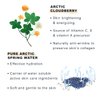 Lumene Nordic C Radiance Flash Day Fluid - Radiance Boosting Vitamin C Moisturizer for Face - Lightweight Hydrating Moisturizer + Face Primer for Makeup - Vegan Skincare (50mL)