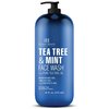 Botanic Hearth Tea Tree Face Wash with Mint - Acne Fighting, Premium, Hydrating Liquid Face Soap with Pure Tea Tree Oil - for Women and Men, Paraben Free, Fights Acne - 16 fl oz