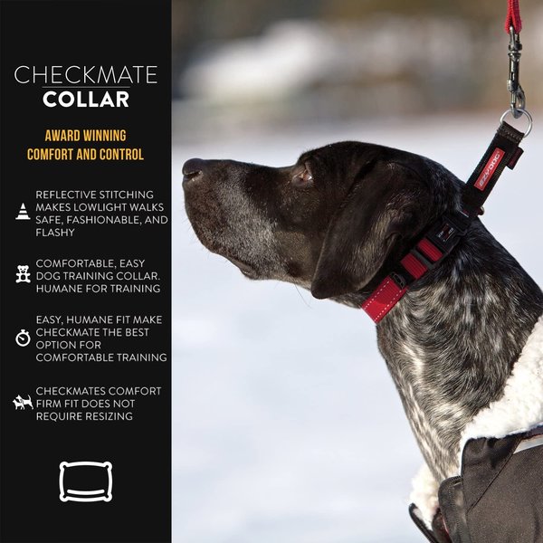 EzyDog Checkmate Martingale-Style Premium Nylon Safety Training and Correction Dog Collar - Quick-Clip Buckle and Reflective Stitching - Easy Control with no Choking Effect (Medium, Red)