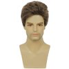 Swiking Mens Short Brown Wig Layered Synthetic Reality Hair 80s Costume Wigs Daily Replacement Wig for Male Guy (Brown)