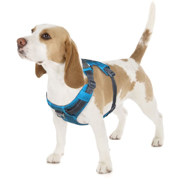 Outward Hound Boulder Adventure Adjustable Dog Harness with Pockets, Turquoise, Small
