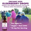 MaryRuth's Cocomelon Kids Elderberry Syrup | USDA Organic Elderberry | Sugar Free Kids Immune Support Supplement for Ages 4-13 Years | Clean Label Project Verified®, Vegan, Gluten Free | 1 Fl Oz