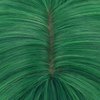 BERON Green Ombre Wigs Straight Long Hair Wigs with Bangs Women Fashion Heat Resistant Synthetic Natural Looking Wig for Cosplay Party or Daily Use