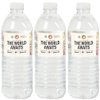 World Awaits - Travel Themed Party Water Bottle Sticker Labels - Set of 20
