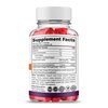 (2 Pack) Rapid Ripped Max+ ACV Gummies, Higher Potency, Official RapidRipped Max+ Gummies, 2X Stronger Apple Cider Vinegar Gummy, 2 Month Supply