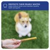 Downtown Pet Supply Bully Sticks for Dogs, Junior Size (6", 12-Pack) Rawhide Free Dog Chews Long Lasting Non-Splintering Pizzle Sticks - Low Odor Bully Sticks for Small Dogs