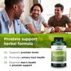 Swanson Pygeum - 400mg Herbal Supplement for Male Prostate Health - Supports Bladder and Urinary Tract Health - 120 Capsules