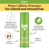 Plantur 39 Stressed Hair Nourishing Kit for Colored, Stressed Hair - Phyto-Caffeine Shampoo (8.45 fl oz) and Conditioner (5.07 fl oz)