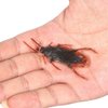 Wendy Mall 20Pcs Realistic Simulation Plastic Fake Cockroach Roach Novelty Bugs Joke Toys for April Fool's Day Halloween Party Favors Decoration Props