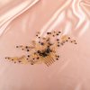 BERYUAN Black Crystal Gold Beads Hair Comb Crystal Beads Wedding Hair Piece Gold Bride Headband Boho Style Elegant Hair Accessory for Brides Bridesmaid