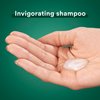 Suave Shampoo and Conditioner Set, Rosemary & Mint - Invigorating Rosemary Mint Clarifying Shampoo & Conditioner, Hair Strengthening, Scented, 12.6 Oz Ea (2 Piece Set)