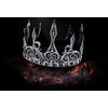 FonteeUS 2pcs Medieval King Crown for Men, Women and Kids, Stage Cosplay Crown Halloween Prop Party Favors, Gold and Silver