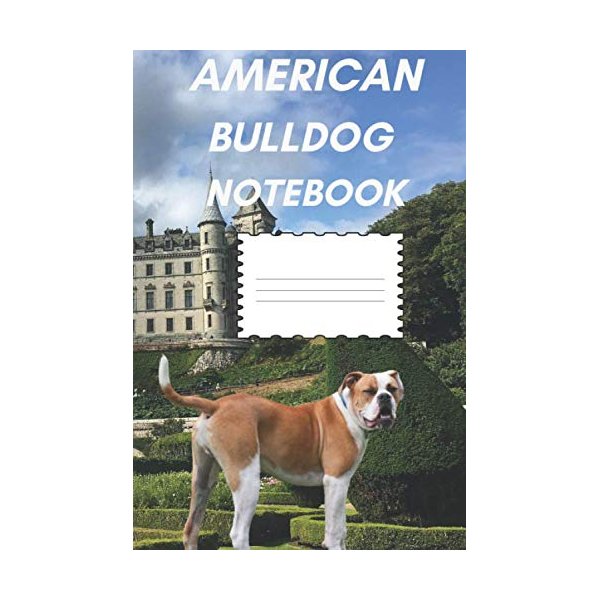 American bulldog Writer's notebook with wide ruled for office use | 6 x 9 | 120 pages