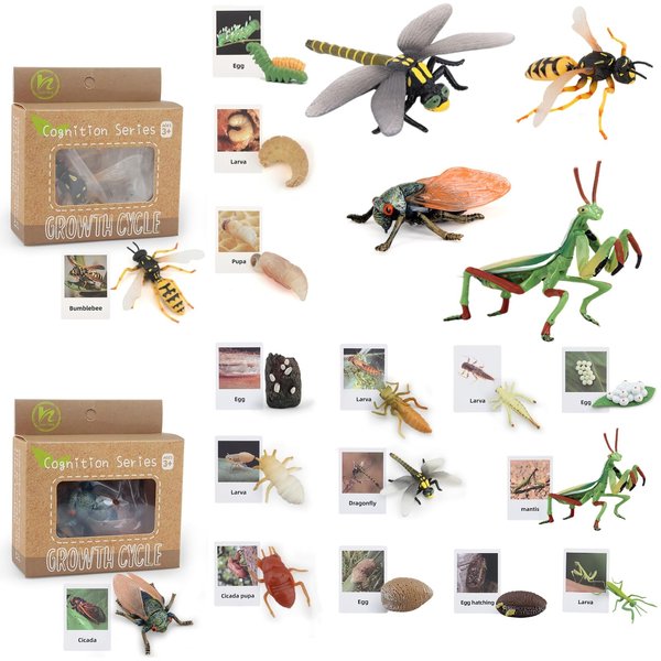 MIKNEKE Life Cycle Animal Figurines Learning & Education Toys, Plastic Insect Life Cycle Toys for Kids, Preschool Learning Activities for Toddlers (Dragonfly Mantis Cicada Bumblebee)